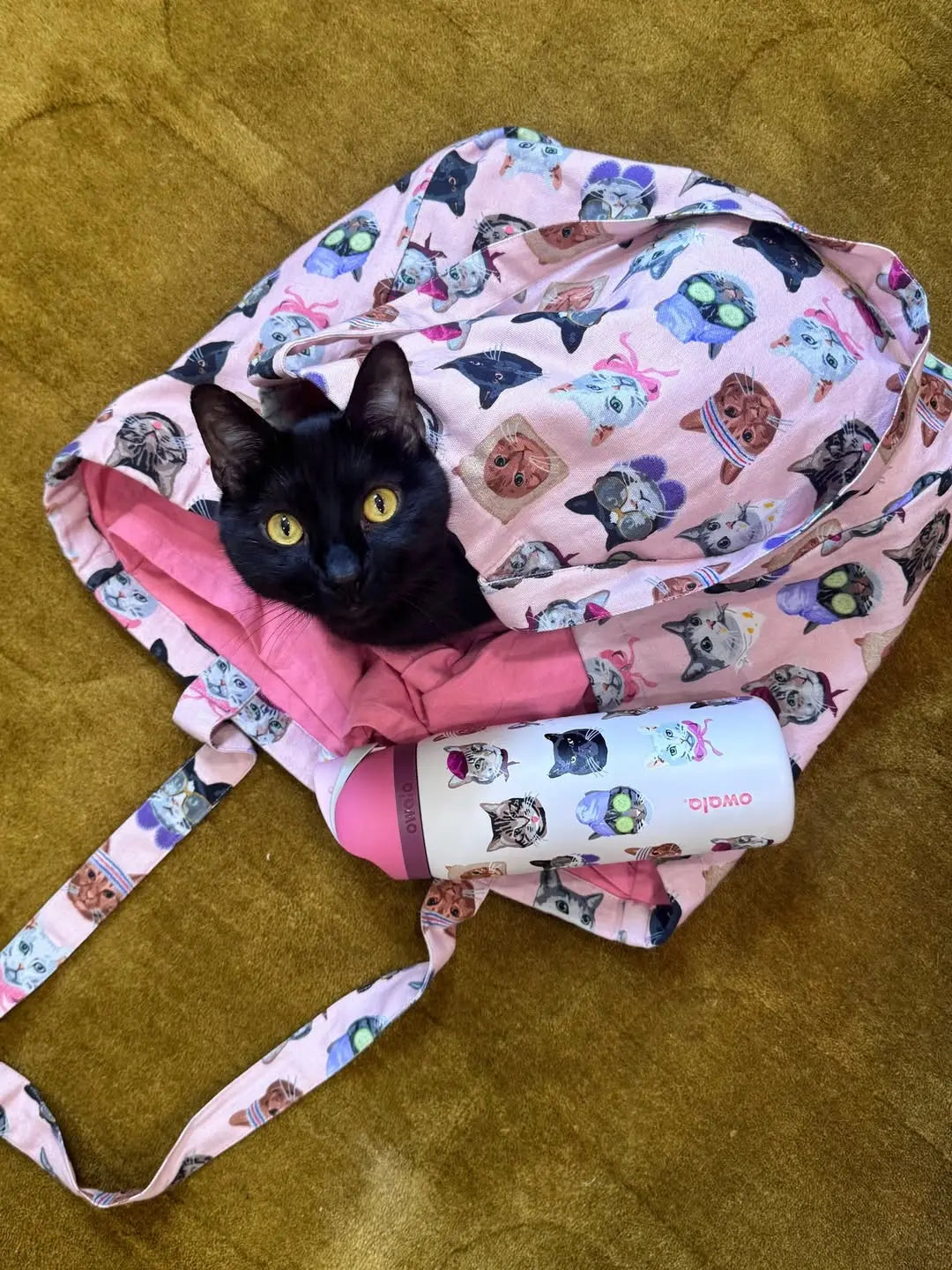 Owala Pink Cat Collage 32Oz Insulated Water Bottle with Adorable Cat Designs and Pink Lid for Hydration