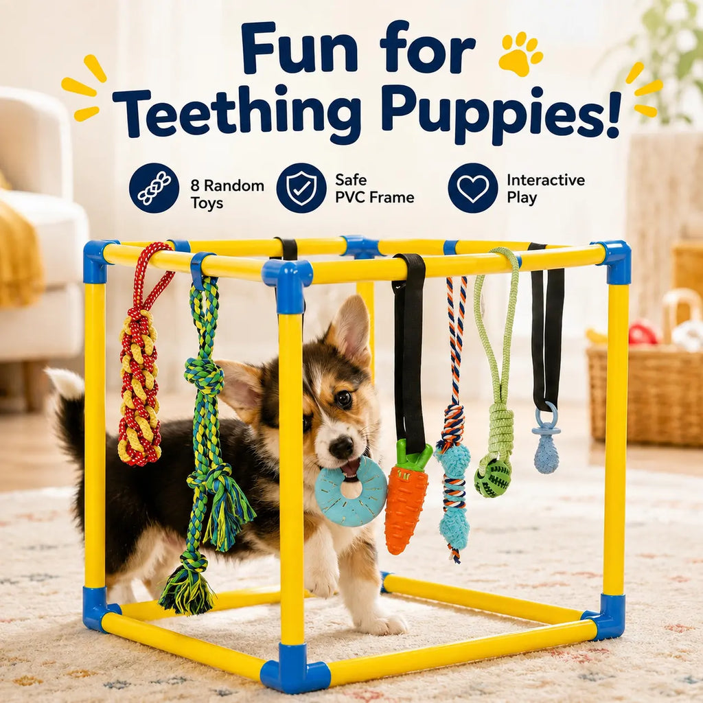 Toy Poodle Puppy Play Gym - Indoor Durable PVC Frame (18.7X18.7X18.7In), 8 Random Detachable Hanging Toys, Adjustable Height, Chew Resistant Rope, Squeaky Teething Aids, Boredom Relief Enrichment Center for Small Dogs