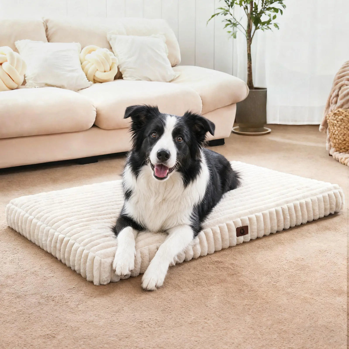 【Sohochic】 Cozila Modern Washable Orthopedic Dog Bed - Egg Crate Foam, Waterproof Liner, Non-Slip Bottom, All-Day Relief, Multi-Size, Weight Distribution for Medium & Large Dogs | Back to School, Camping Essentials