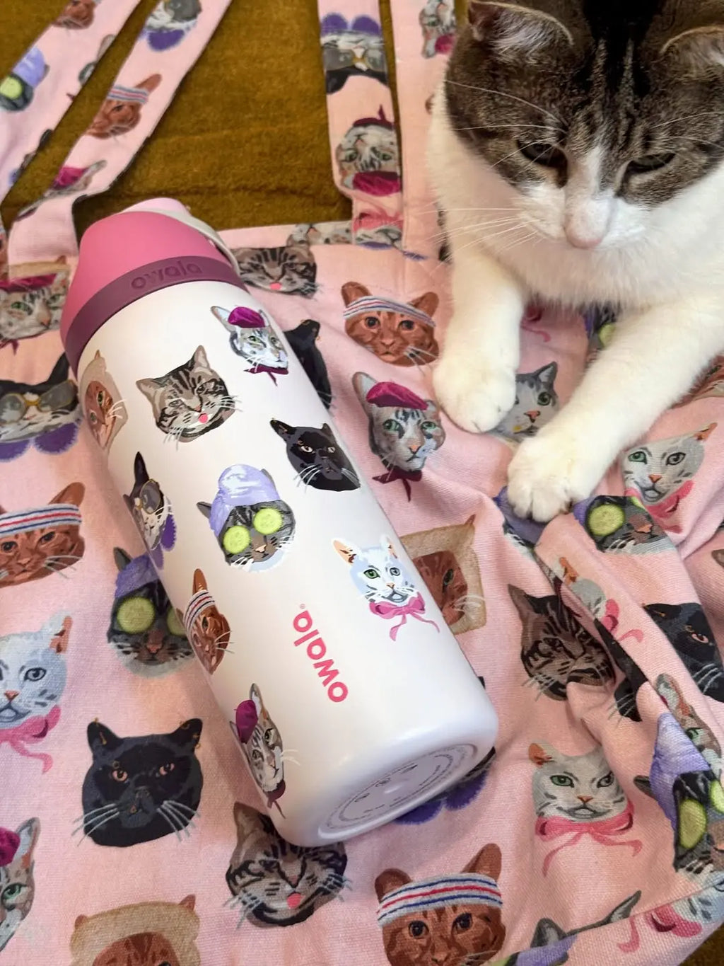 Owala Pink Cat Collage 32Oz Insulated Water Bottle with Adorable Cat Designs and Pink Lid for Hydration