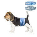 【Sohochic】 Dono Disposable Male Dog Wraps - Multi-Size (Including Small) Dog Diapers with Elastic Waistband, Fasteners, Wider Belly Bands, Thicker Core, Super Absorbent, Leak-Proof Fit for Travel, Excitable Urination (Many Uses, No Mess)