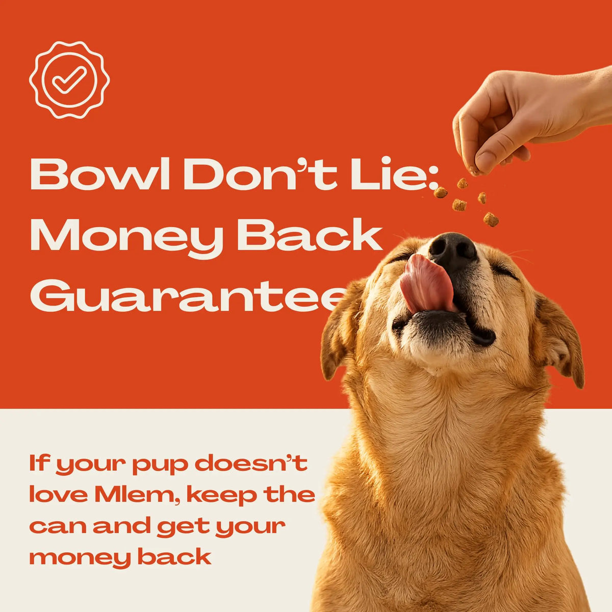 Mlem - Beef Topper Spray for Dogs, Pet Food Topper for Canine Nutrition Enhancement