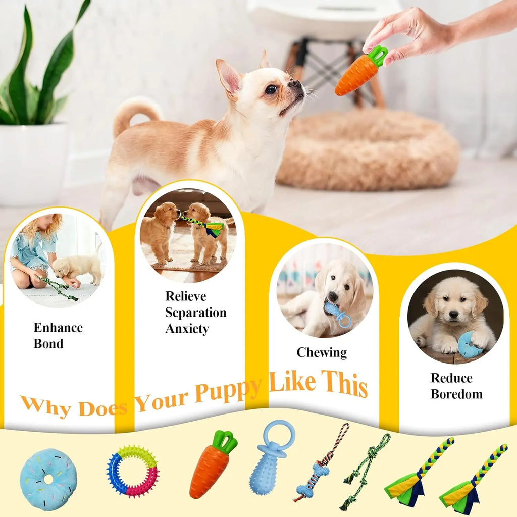 Toy Poodle Puppy Play Gym - Indoor Durable PVC Frame (18.7X18.7X18.7In), 8 Random Detachable Hanging Toys, Adjustable Height, Chew Resistant Rope, Squeaky Teething Aids, Boredom Relief Enrichment Center for Small Dogs